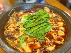 -都江堰石锅鱼