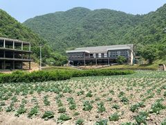 -梦娜斯庄园