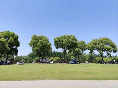 -上海滨江森林公园
