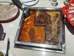 -红鼎坊·老成都火锅(新南门店)