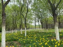 -东郊湿地公园