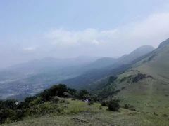-大姆山草场