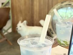 -绿房子方寸咖啡(星海名城店)