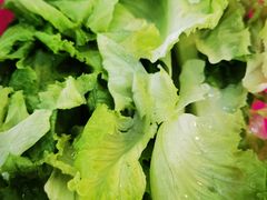 -15年老字号鑫鑫猪肚鸡·椰子鸡海南火锅(兴隆华侨农场店)