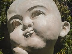 -东平国家森林公园
