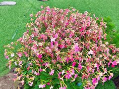 -首开·龙湖成都西宸天街