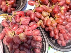 -成都玉林串串香火锅(三八店)