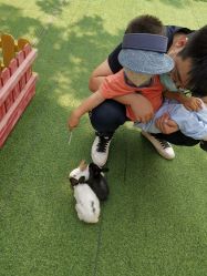 -萌宠亲子动物乐园(槐房万达店)