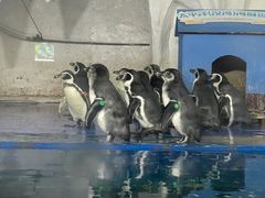 -太平洋海底世界