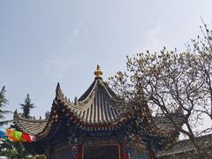 -西安市广仁寺
