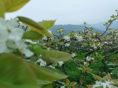 -彭州市湔江绿道