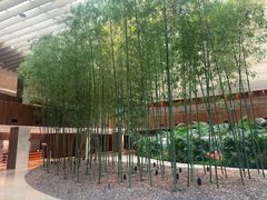 -北京望京凯悦酒店The Lounge大堂酒廊
