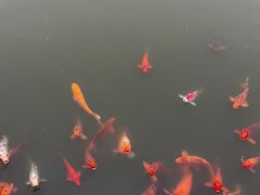 -春晖园度假酒店温泉