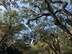 -普陀山风景名胜区-法雨禅寺