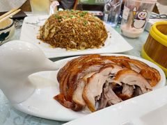 精品烤鸭-正阳春烤鸭(华捷道店)