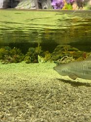 -Zoolung Zoolung动物主题公园(海信广场店)