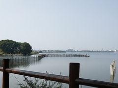 -鹅湖玫瑰文化园