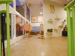 -有猫主题·治愈系猫咖(曾厝垵店)