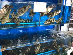 -蚝专家(北滘店)