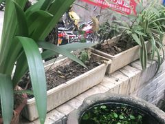-正南齐北·老街糯米团(洪崖洞店)