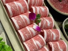 高钙羊肉-小龙坎老火锅(红旗街店)