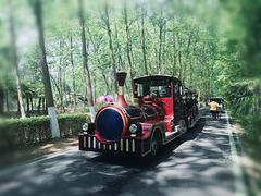 -合肥滨湖国家森林公园