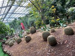 -呀路古热带植物园