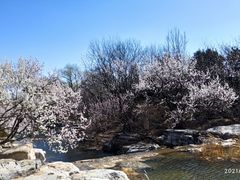 -北京植物园南门售票处