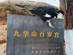 -九华山风景区
