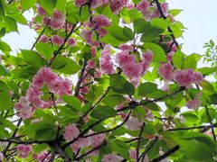 -西北湖绿化广场