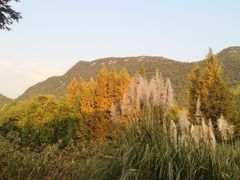 -贵阳市花溪国家城市湿地公园