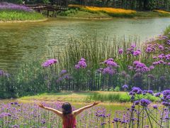 -黄海国家森林公园