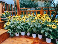 -馥家小馆(黔灵山公园店)