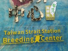 -广东惠东海龟国家级自然保护区