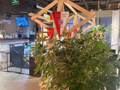 -百好乐宠物友好餐厅(朝外大街店)