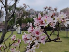 -文华公园(禅城区)