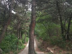 -金龙寺国家森林公园