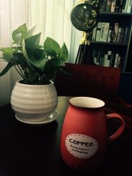 -巴黎婚纱摄影工作室