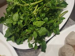 -张凯达·深海石斑鱼潮汕火锅(十五年品牌•虹桥天街店)