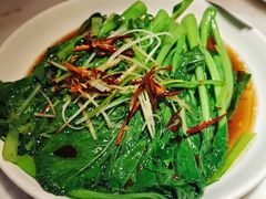 白灼菜心-日丰园海肠水饺·老字号大连海鲜(和平广场店)