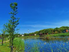 -上海怡沁园度假酒店