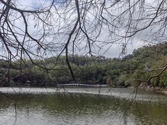 -深圳仙湖植物园