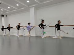 -西安小天鹅艺术团(曲江Alice店)