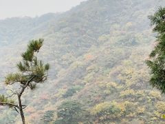-香山公园