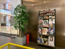 -崇尚GAVIN STYLE臻选