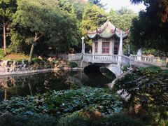 -叶家花园
