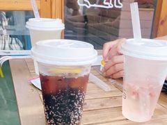 -喵屿·大理花园猫咖