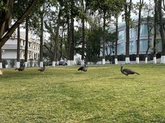 -西昌邛海宾馆