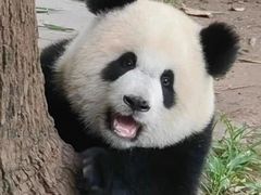 -西北湖绿化广场