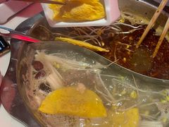 -傣妹火锅(新桥店)
